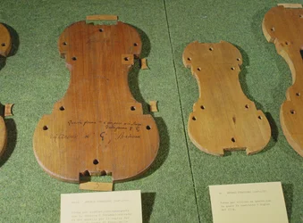 Formes de violon